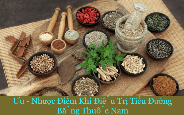 Ưu - Nhược Điểm Khi Điều Trị Tiểu Đường Bằng Thuốc Nam