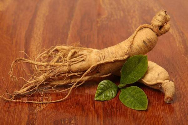 Nhân sâm Hàn Quốc có nhiều công dụng vượt trội