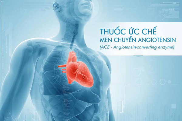 Nhóm thuốc ức chế men chuyển Angiotensin