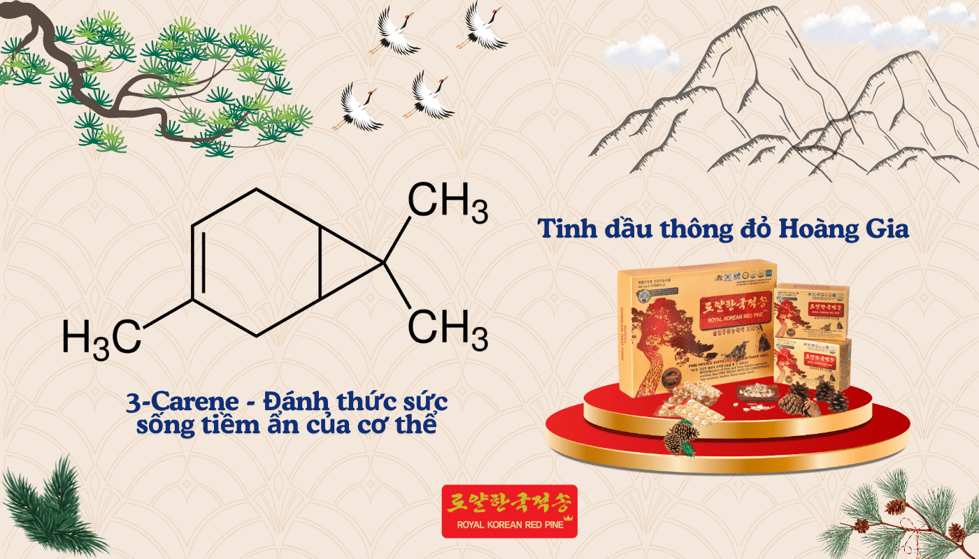 3-Carene trong tinh dầu thông đỏ - Lá chắn thép bảo vệ sức khỏe 3-Carene trong tinh dầu thông đỏ - Lá chắn thép bảo vệ sức khỏe